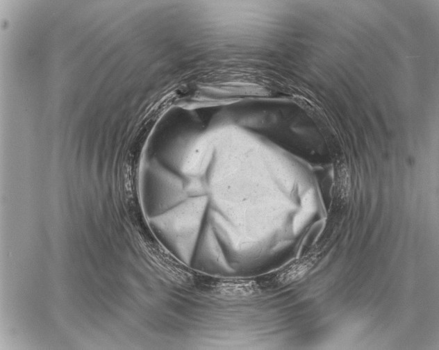 X0000058830571200510171620