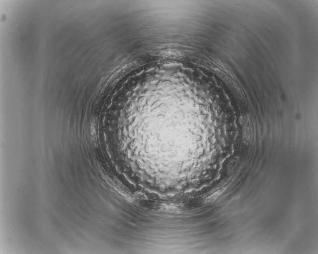 X0000058830573200510171620