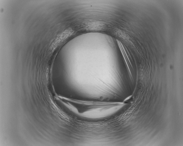 X0000058830586200510171619