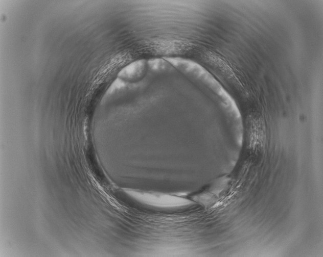 X0000058830590200510171619