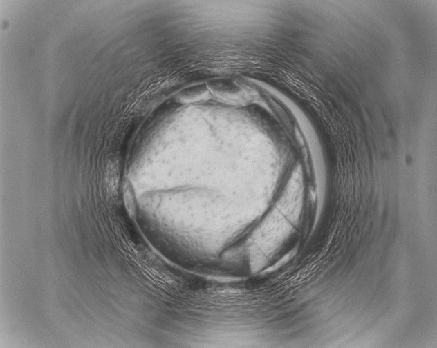 X0000058830593200510171619