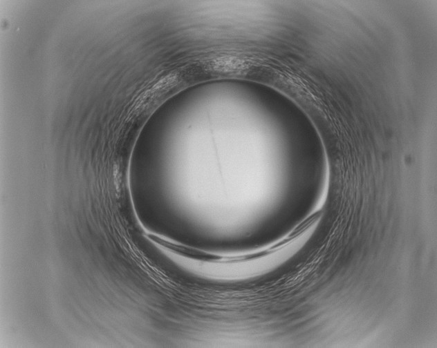 X0000058830597200510171619
