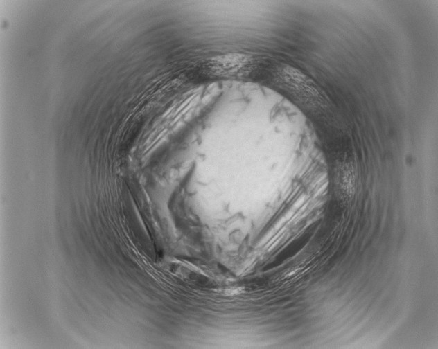 X0000058830602200510171619