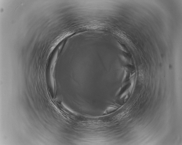 X0000058830626200510171618