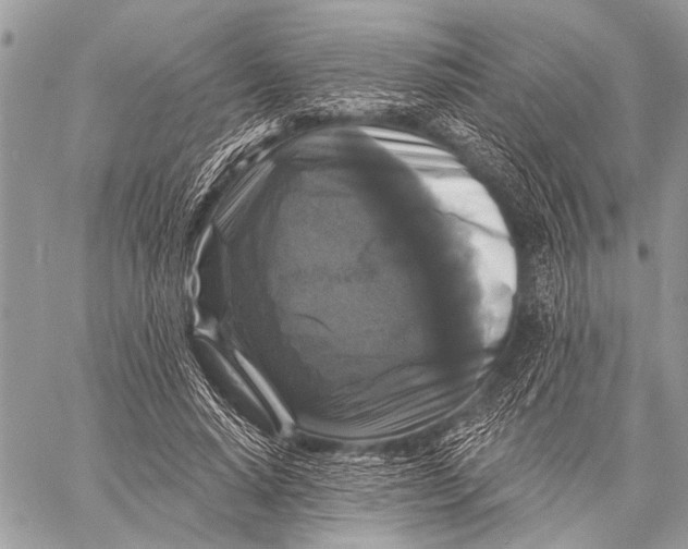 X0000058830640200510171618