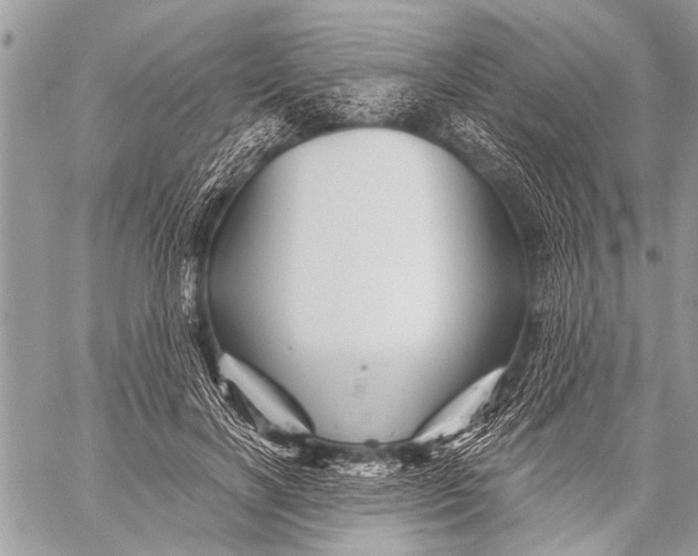 X0000058830646200510171618