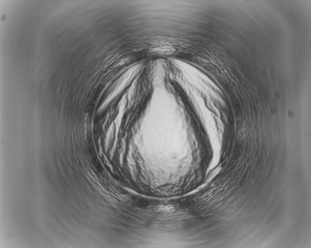 X0000058830647200510171618