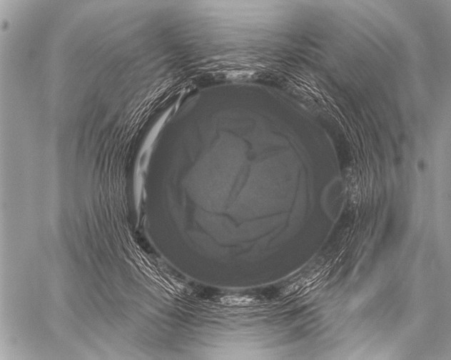 X0000058830650200510171618