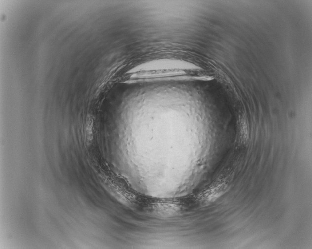 X0000058830668200510171619