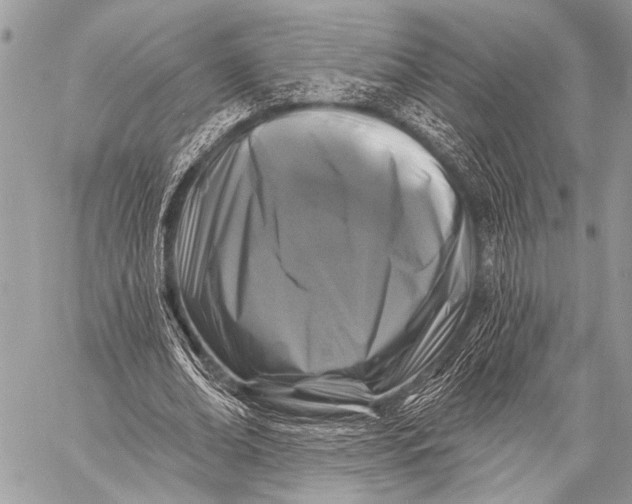 X0000058830678200510171618