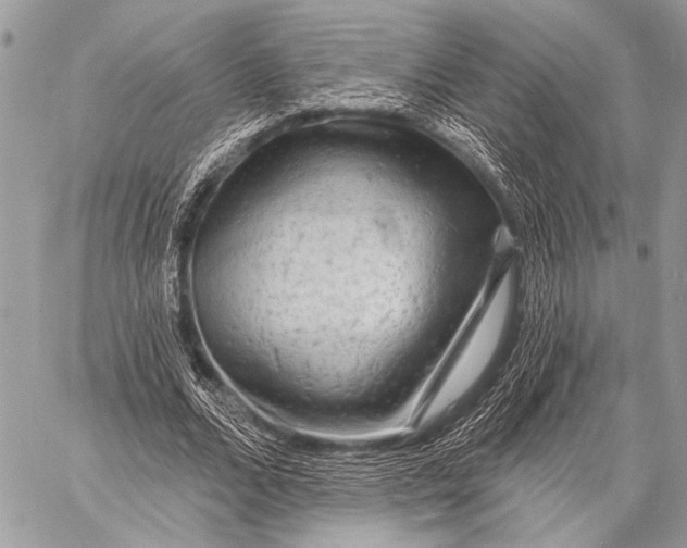 X0000058830680200510171618
