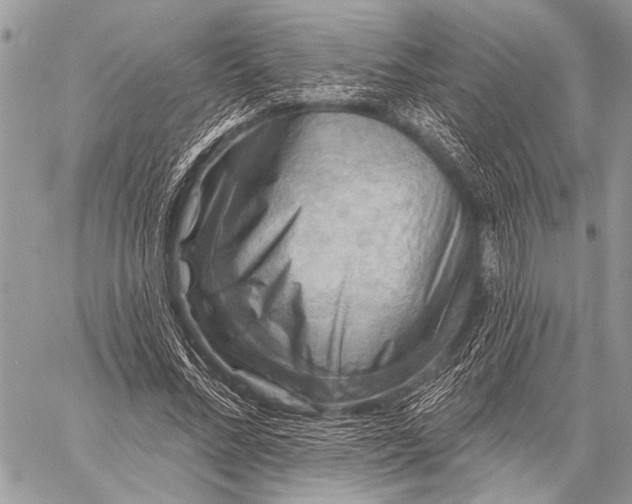 X0000058830684200510171618