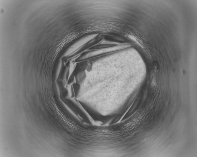X0000058830685200510171618
