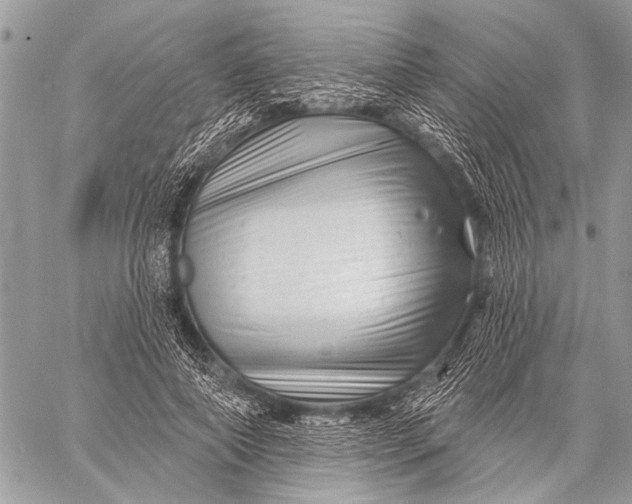 X0000058830690200510171618