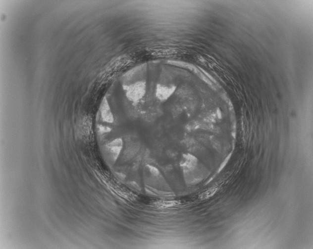 X0000058830711200510171617