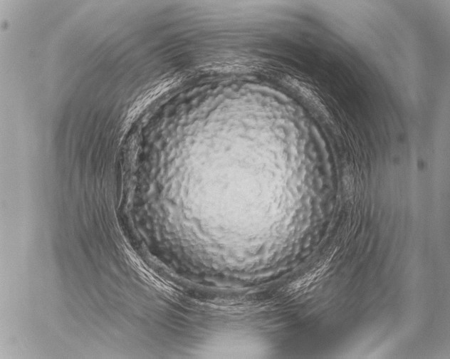 X0000058830725200510171616