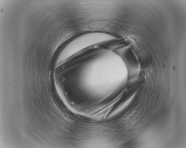 X0000058830735200510171617