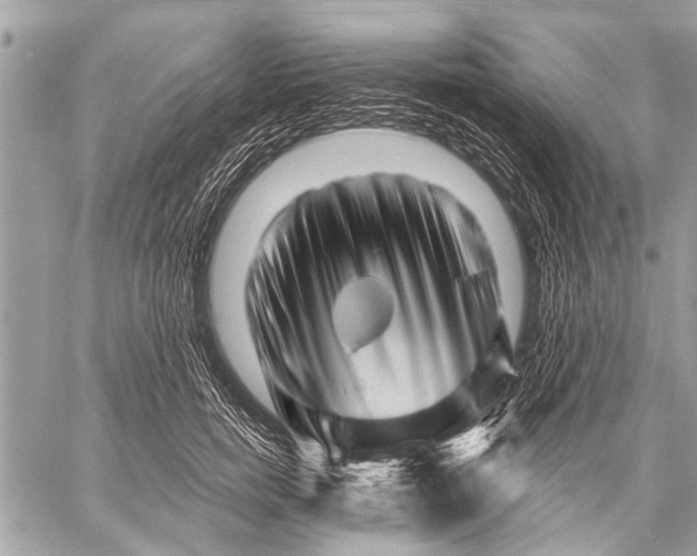 X0000058830750200510171617