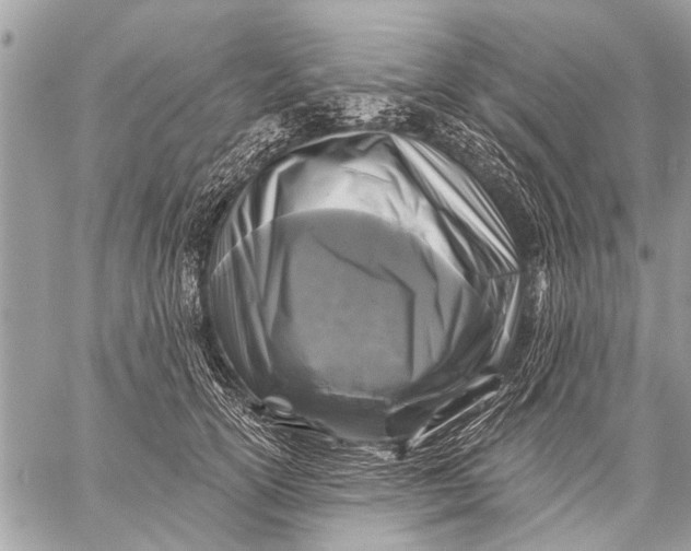 X0000058830754200510171617