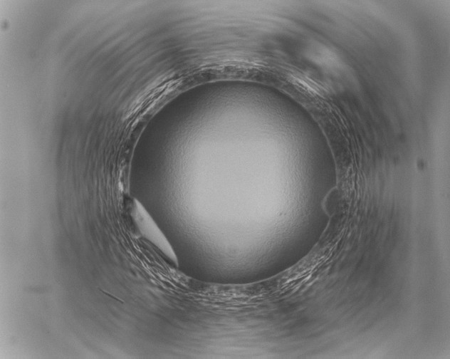 X0000058830774200510171616