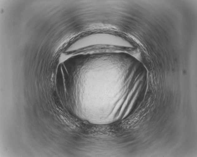 X0000058830775200510171616