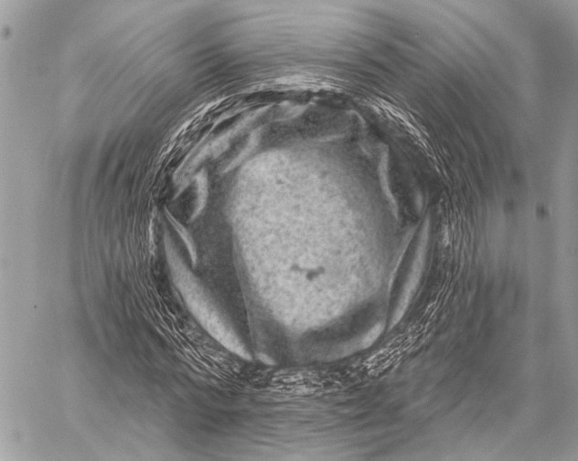 X0000058830776200510171616