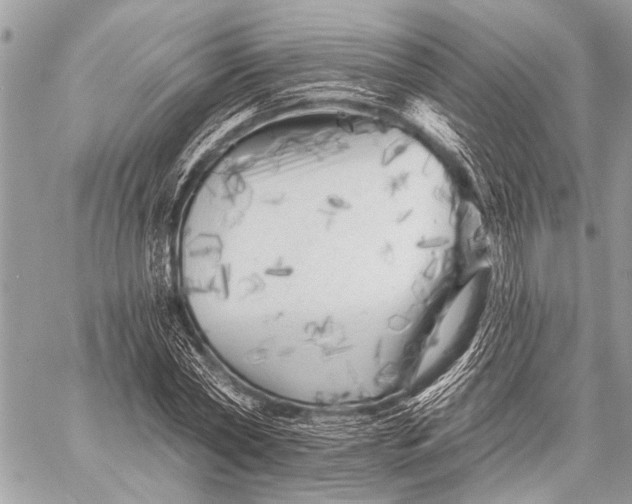 X0000058830782200510171616
