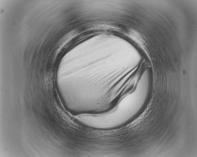 X0000058830783200510171616