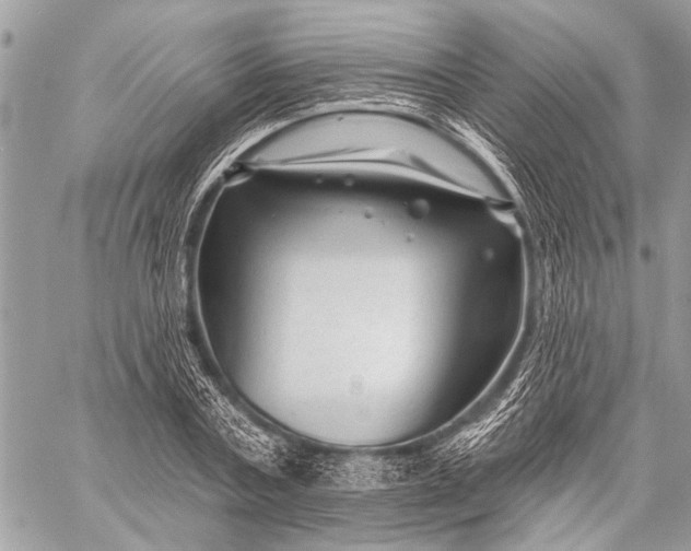 X0000058830787200510171616