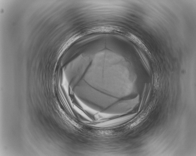 X0000058830802200510171616