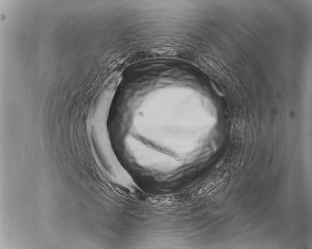 X0000058830817200510171615