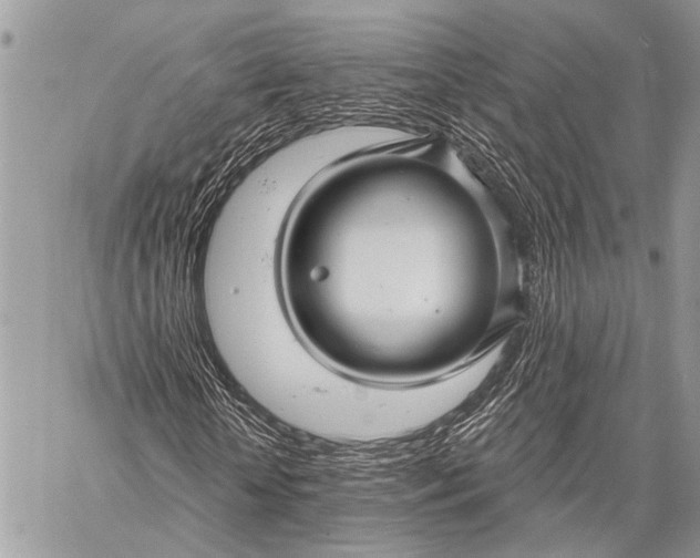 X0000058830818200510171615