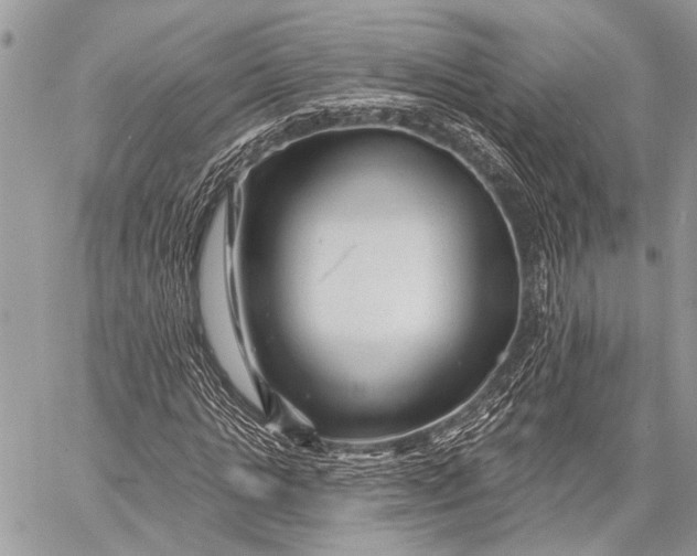 X0000058830821200510171615