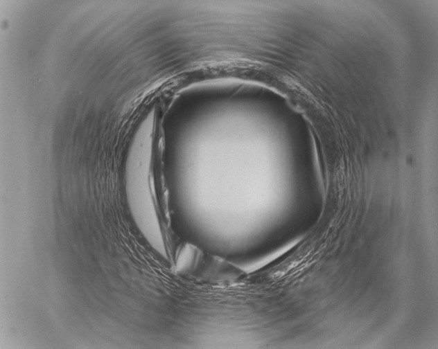 X0000058830822200510171615