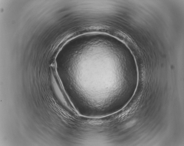 X0000058830825200510171615