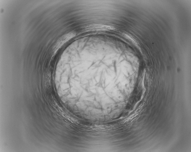 X0000058830827200510171615