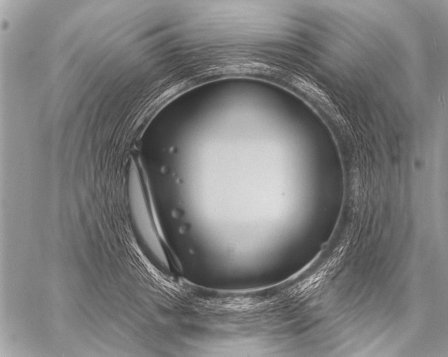 X0000058830841200510171615