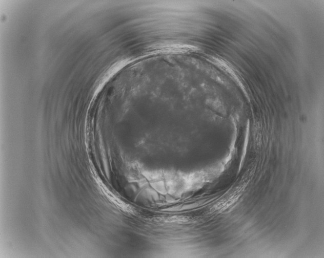 X0000058830851200510171615