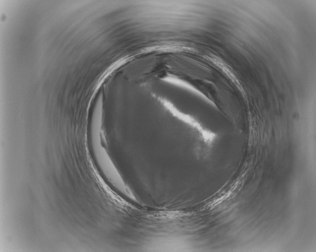 X0000058830853200510171615