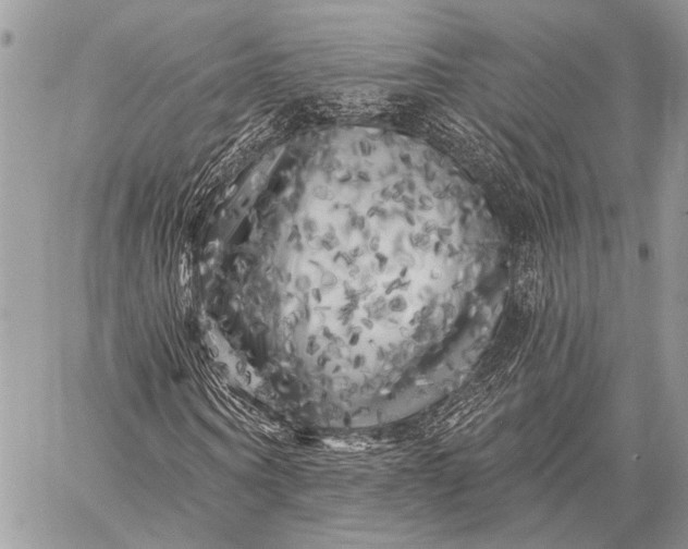X0000058830866200510171615