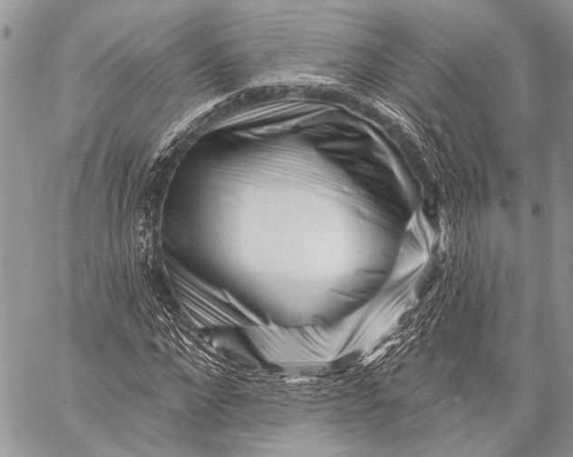 X0000058830872200510171615