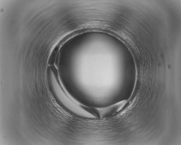 X0000058830880200510171615