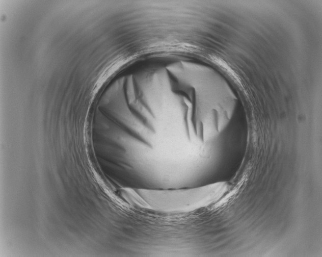 X0000058830893200510171614