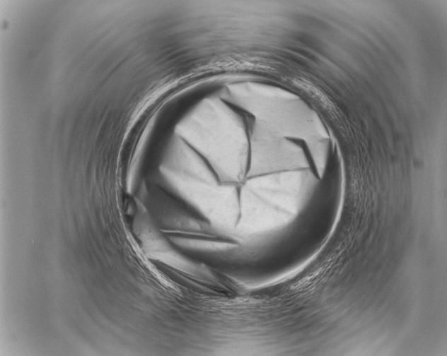 X0000058830894200510171614