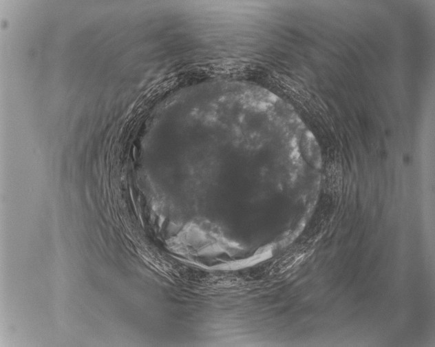 X0000058830913200510171613