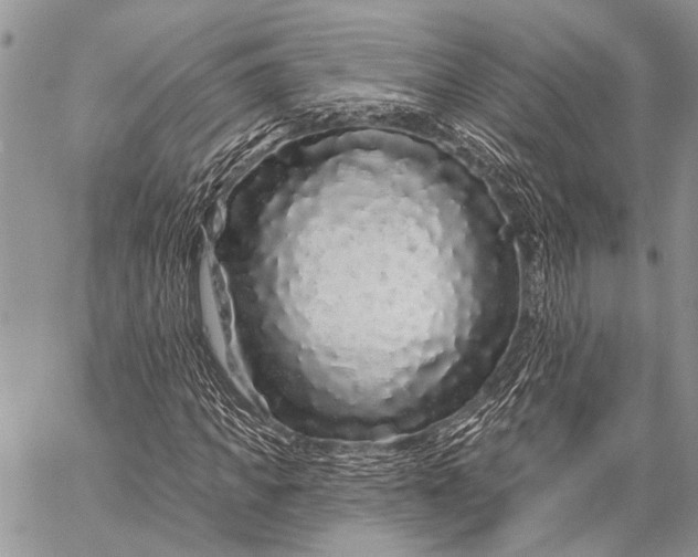 X0000058830917200510171613