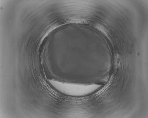 X0000058830923200510171613