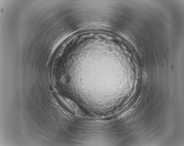 X0000058830925200510171613