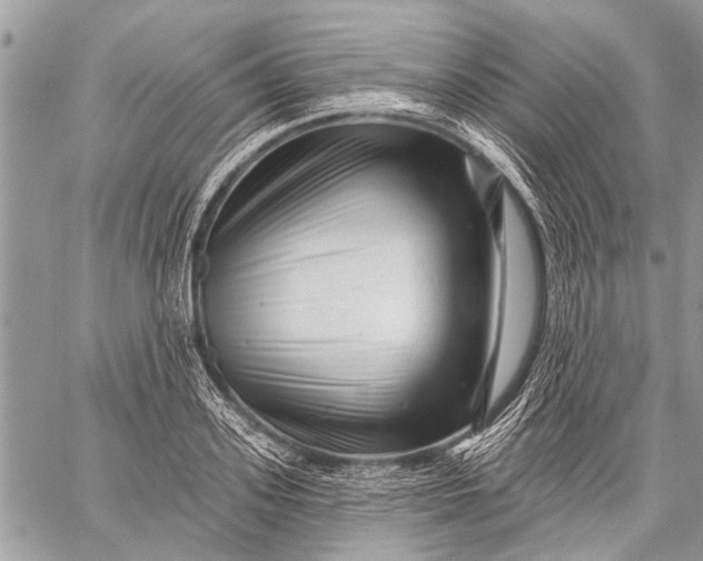 X0000058830939200510171614
