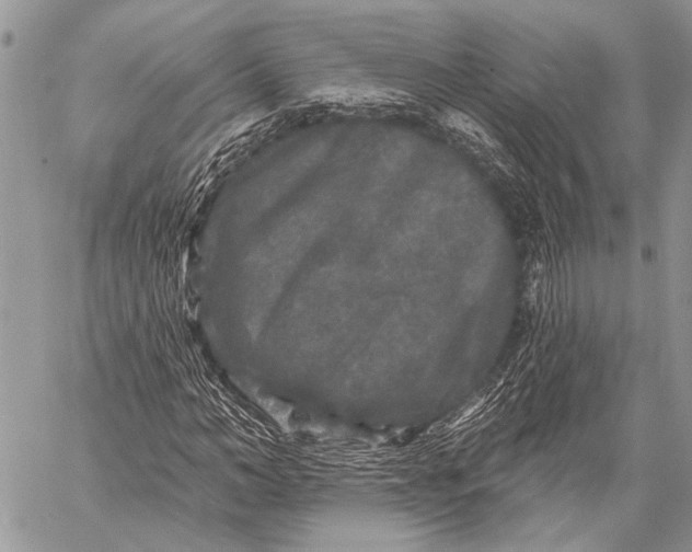 X0000058830966200510171613